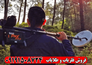 فلزیاب نقطه زن پی ام ایکس گلد