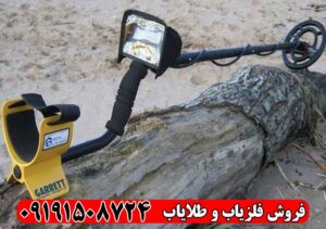 فلزیاب Garrett Ace 300